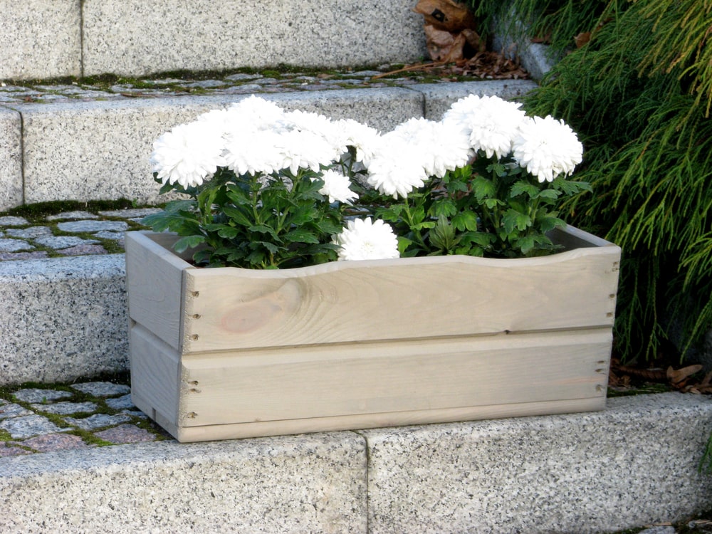 Truhlík šedý 44 cm